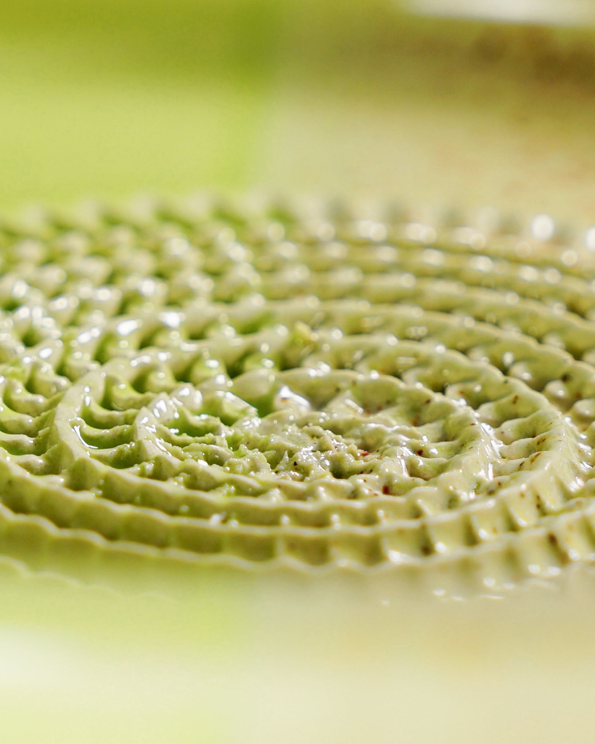 Dipschale Lime