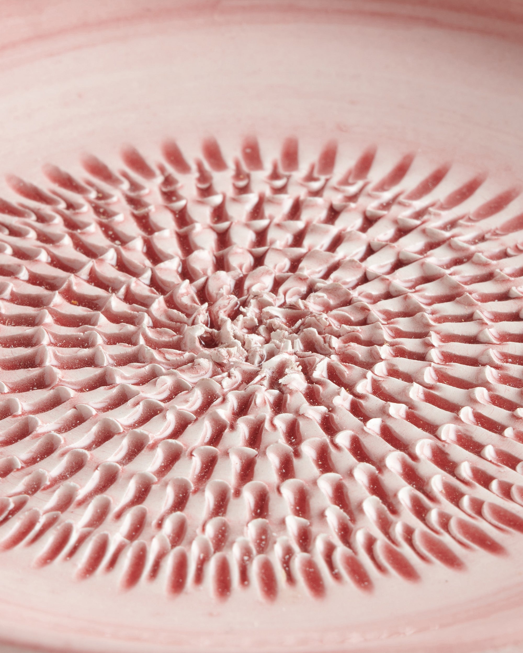 Tellerreibe Rosé