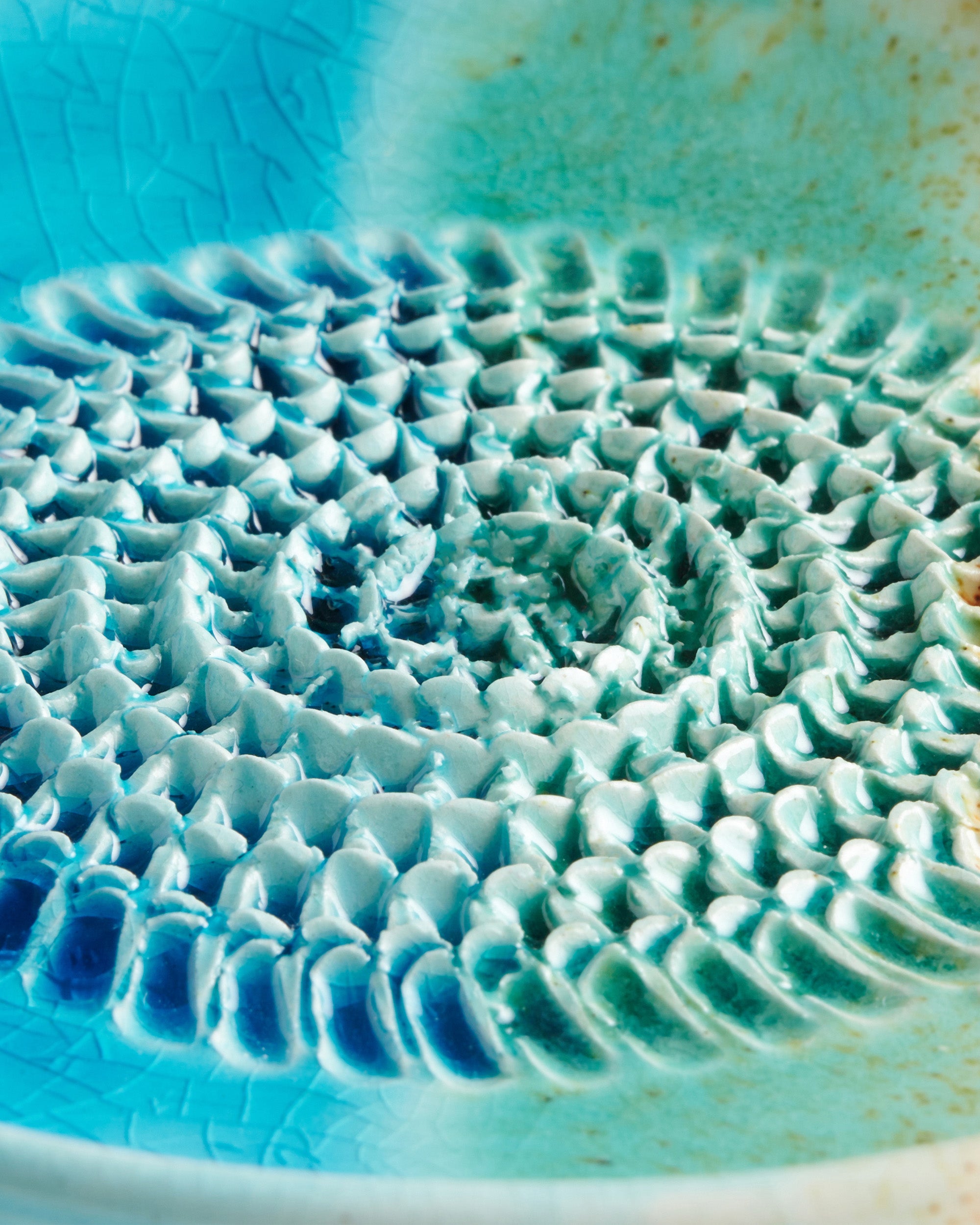 Tellerreibe Ocean