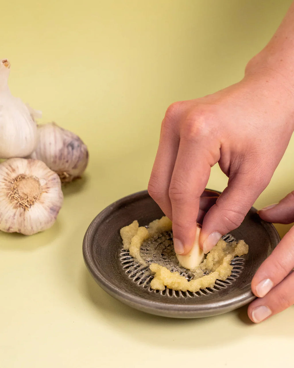 <strong>Ingwer Verschenk-Set</strong> <br>mit 3 Tellerreiben, jeweils mit Rezeptheft u. Reinigungspinsel