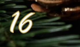 Adventstag 16