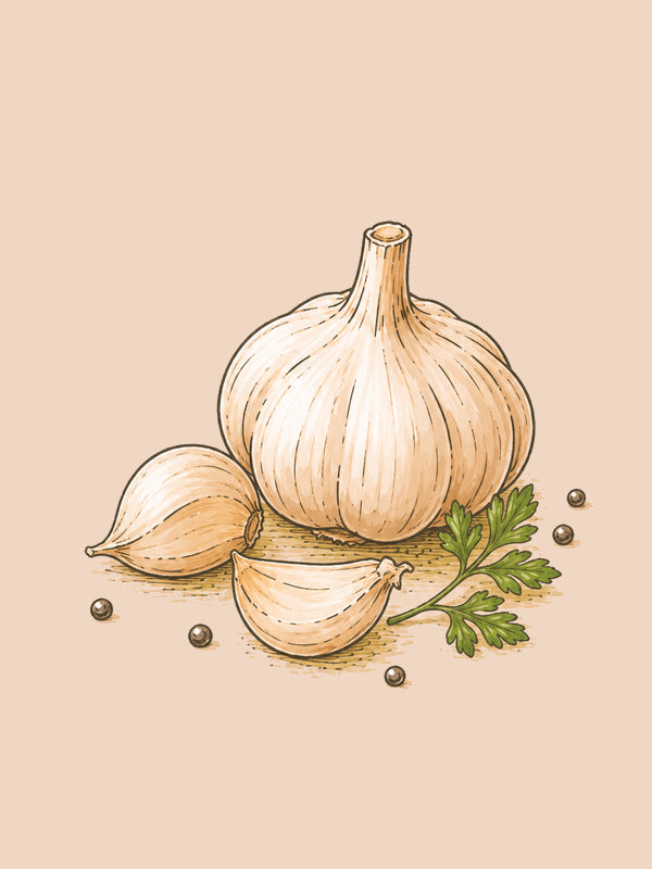 Knoblauch Rezepte zum Anklicken